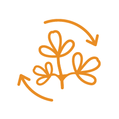 Alfalfa production symbol