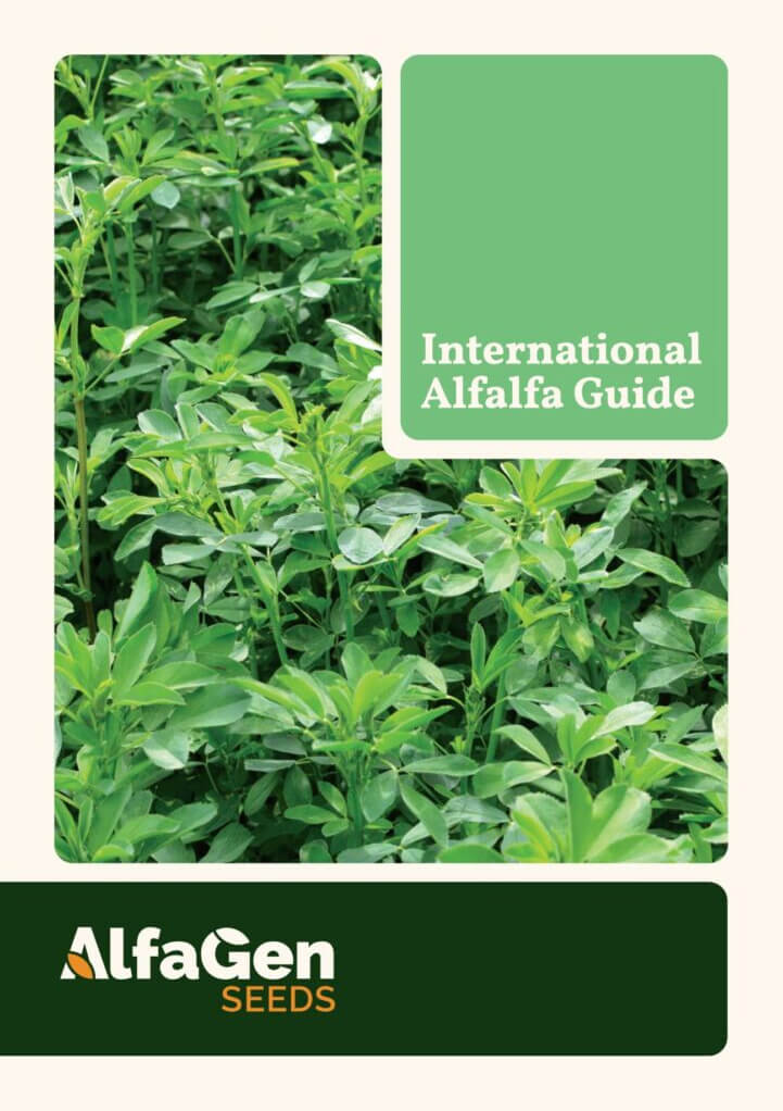 Cover of international alfalfa guide