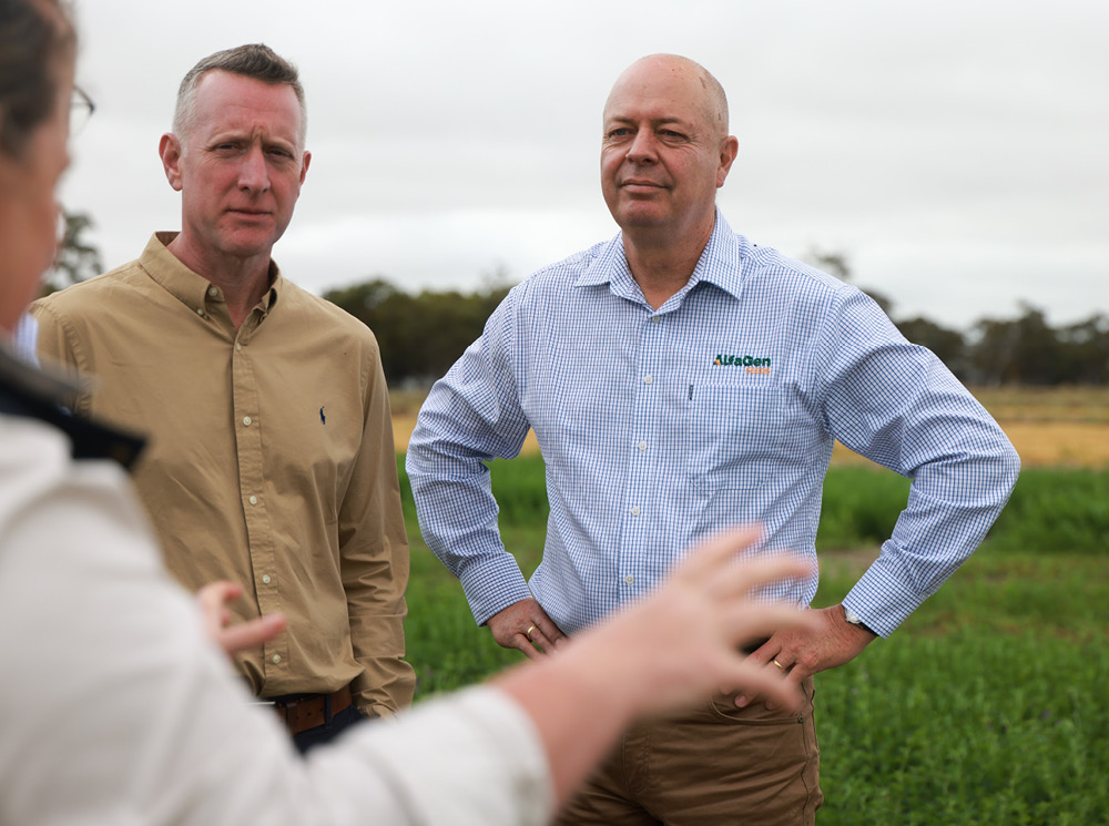 Andrew Brooker and Cameron Henley AlfaGen Seeds International